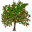 WinDirstat